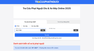 Hướng dẫn 4 bước đơn giản để kiểm tra phạt nguội trước khi đăng kiểm